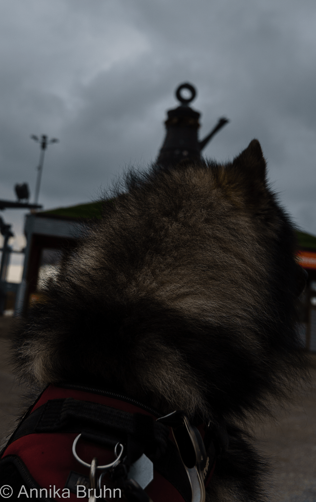 Q und das Stadtwappen Bad Cannstatt!